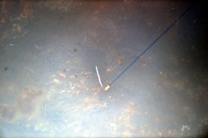 Ako vyzerá štart rakety z vesmíru? Astronauti odfotografovali Sojuz z ISS