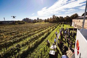 Huawei inteligentné poľnohospodárstvo