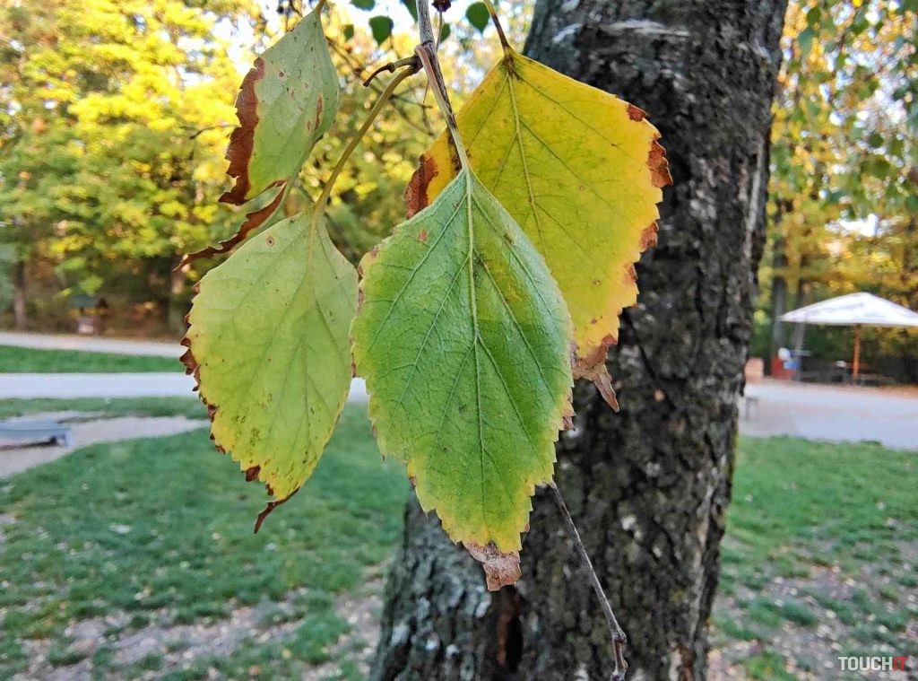 motorola edge 30 fusion