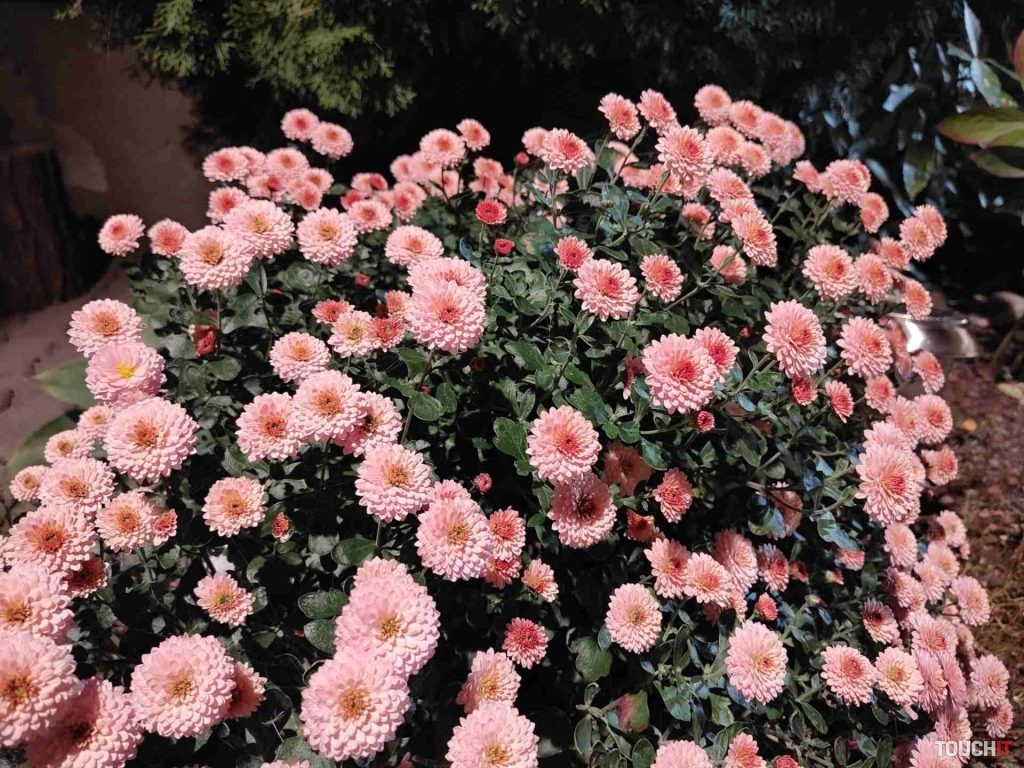 motorola edge 30 fusion