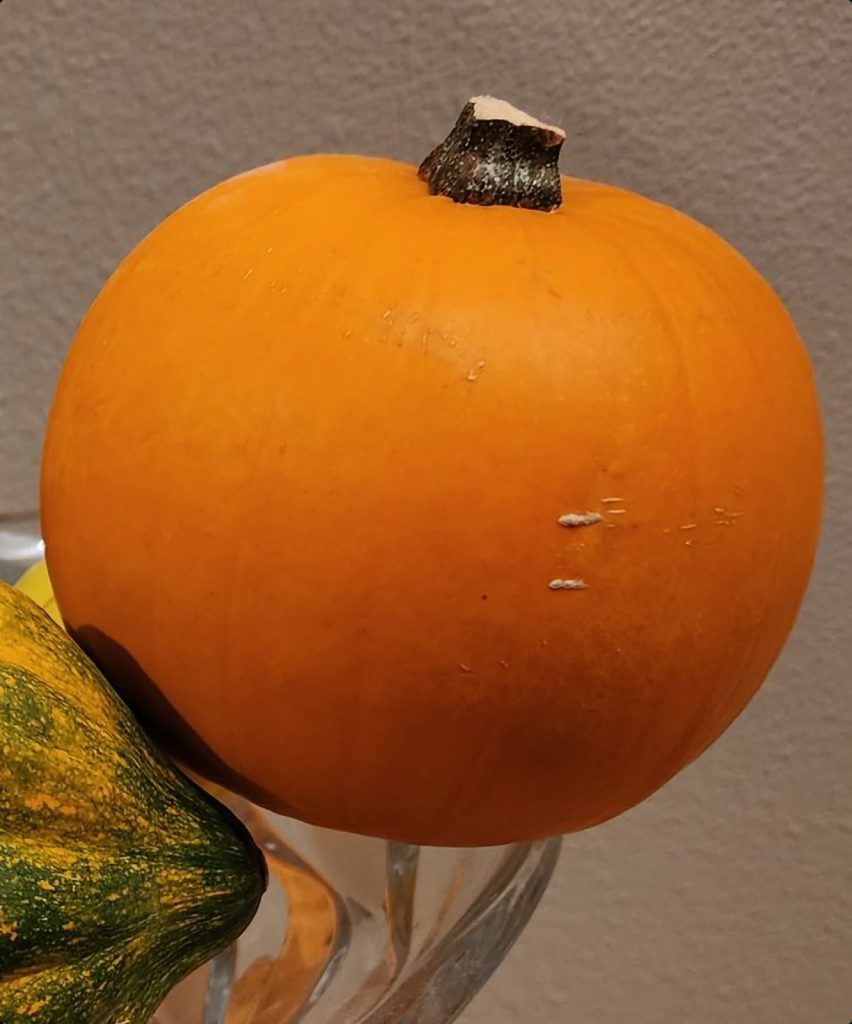 Samsung Galaxy S22 Ultra