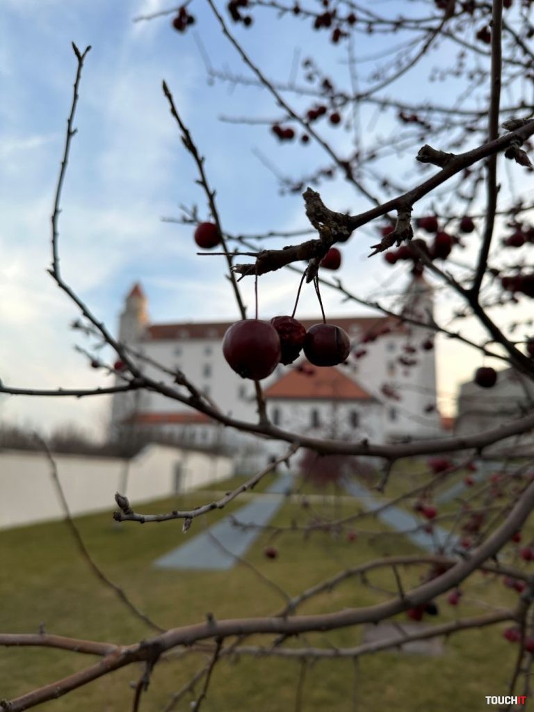 Samsung Galaxy S23 Ultra vs. iPhone 14 Pro Max