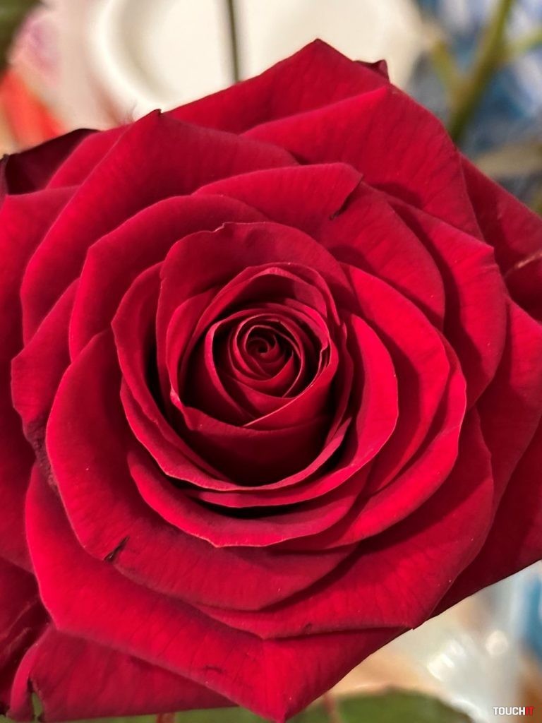 Samsung Galaxy S23 Ultra vs. iPhone 14 Pro Max