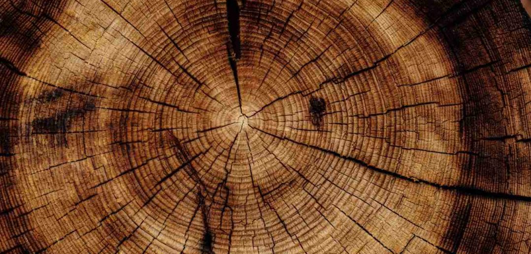 Drevo ako stavebný materiál
