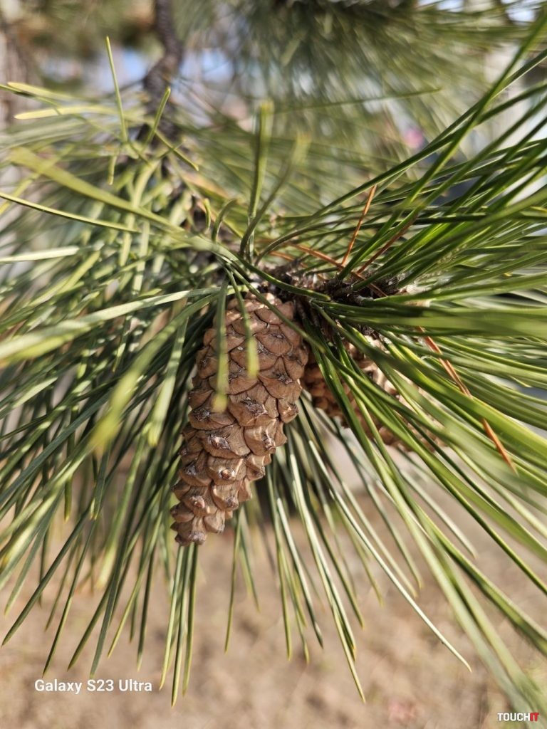 Odfotil Samsung Galaxy S23 Ultra