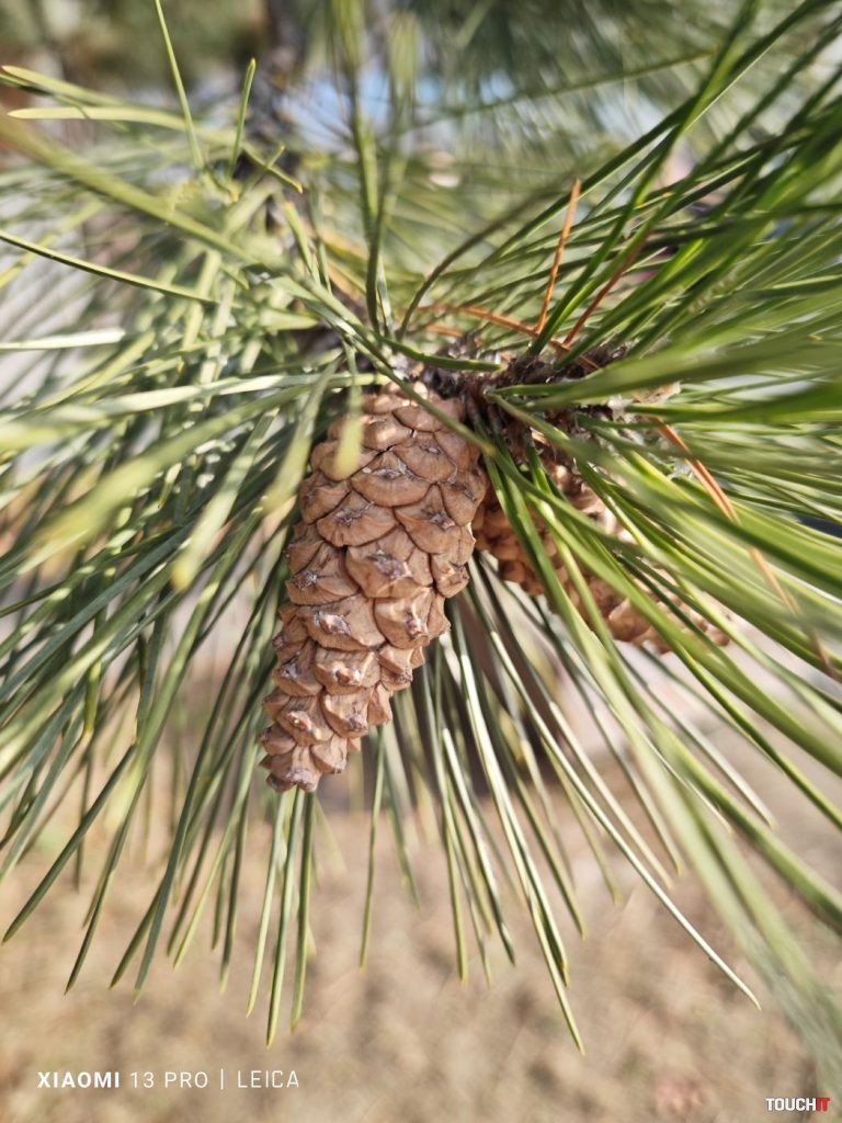 Odfotil Xiaomi 13 Pro