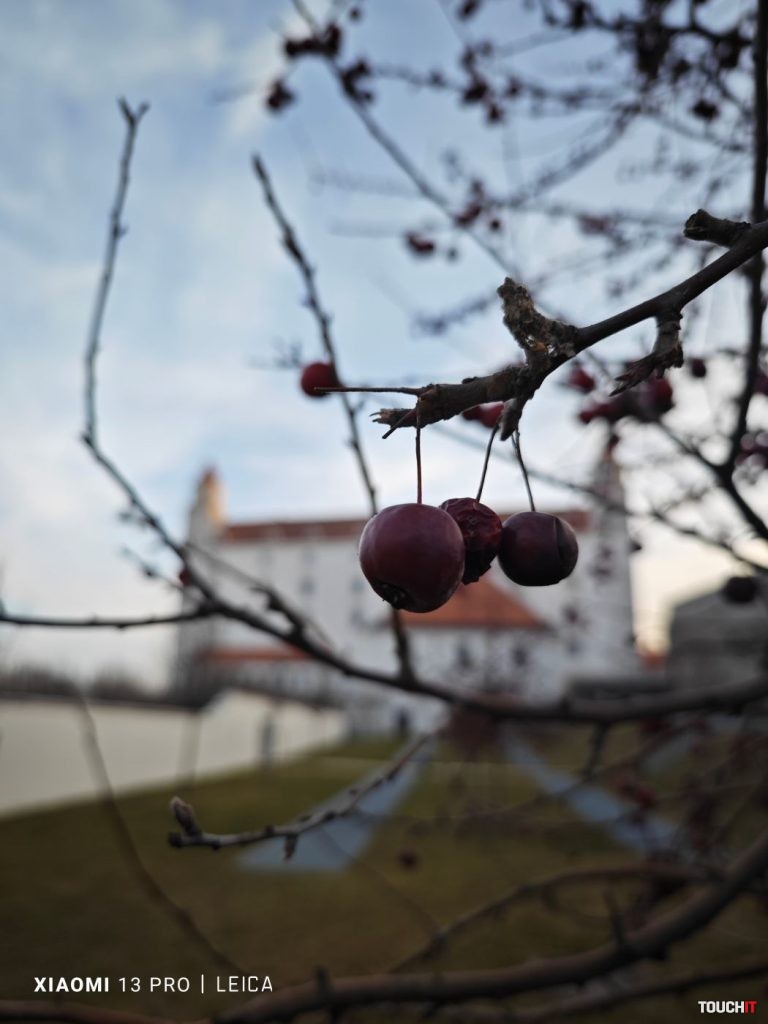 Odfotil Xiaomi 13 Pro