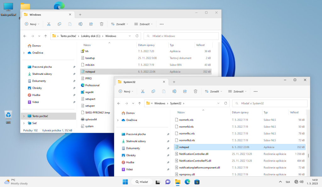 Dva priečinky Windows 11 s programom Notepad / Poznámkový blok