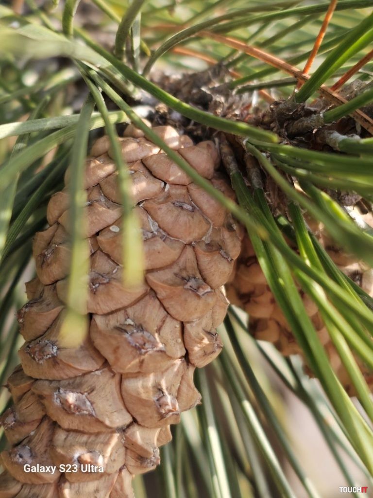 Odfotil Samsung Galaxy S23 Ultra