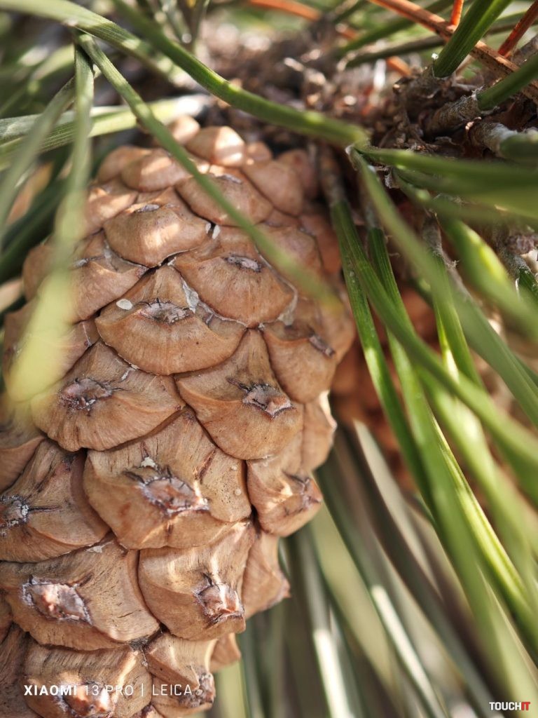 Odfotil Xiaomi 13 Pro