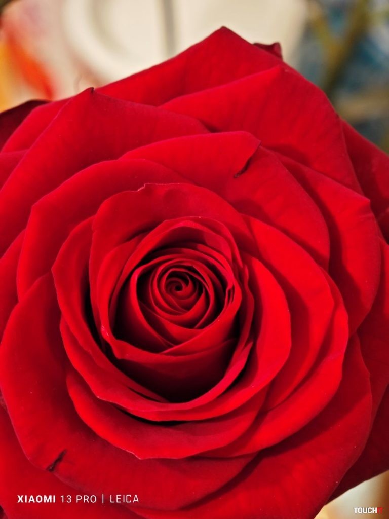 Odfotil Xiaomi 13 Pro