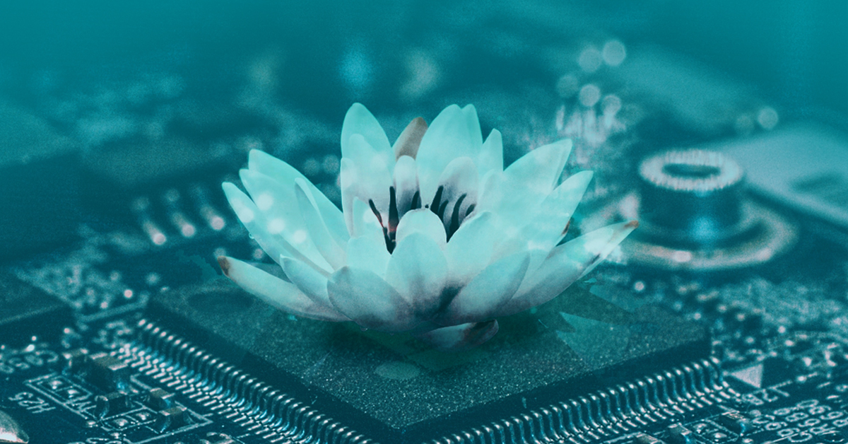 ESET Small Business Security: antivírus + VPN + servery (VIDEO)