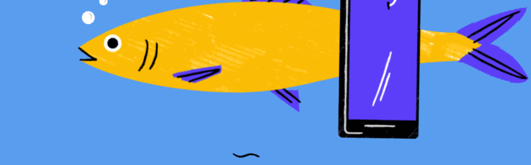 google phishing test