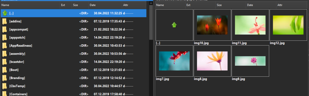 Double commander MainWindow