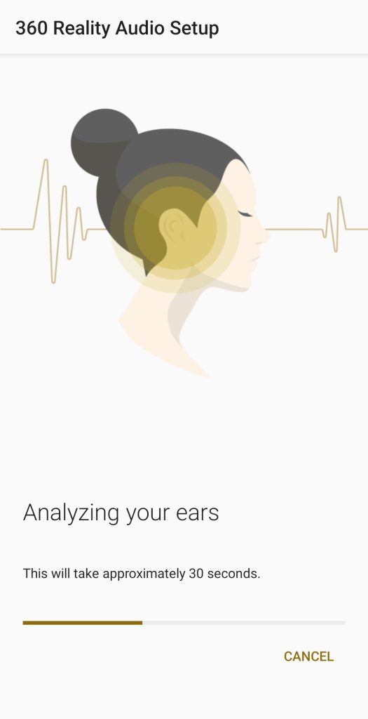 Analýza uší