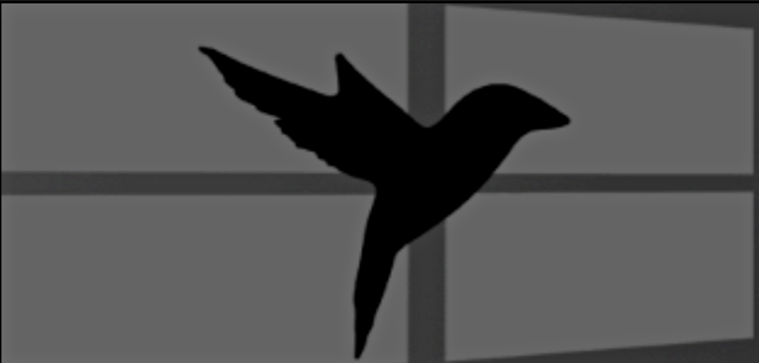 blackbird program