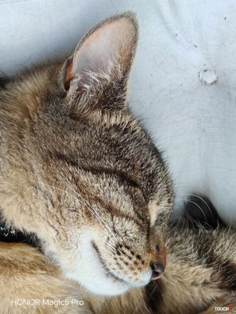 Honor Magic5 Pro vs Xiaomi 13 Pro