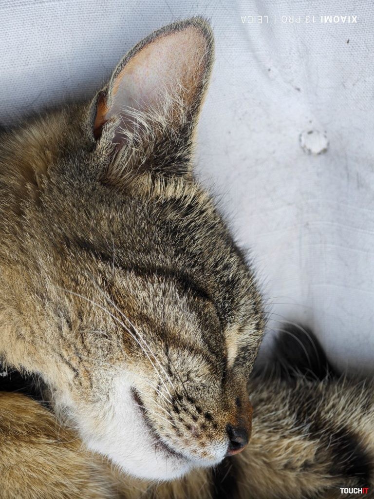 Honor Magic5 Pro vs Xiaomi 13 Pro