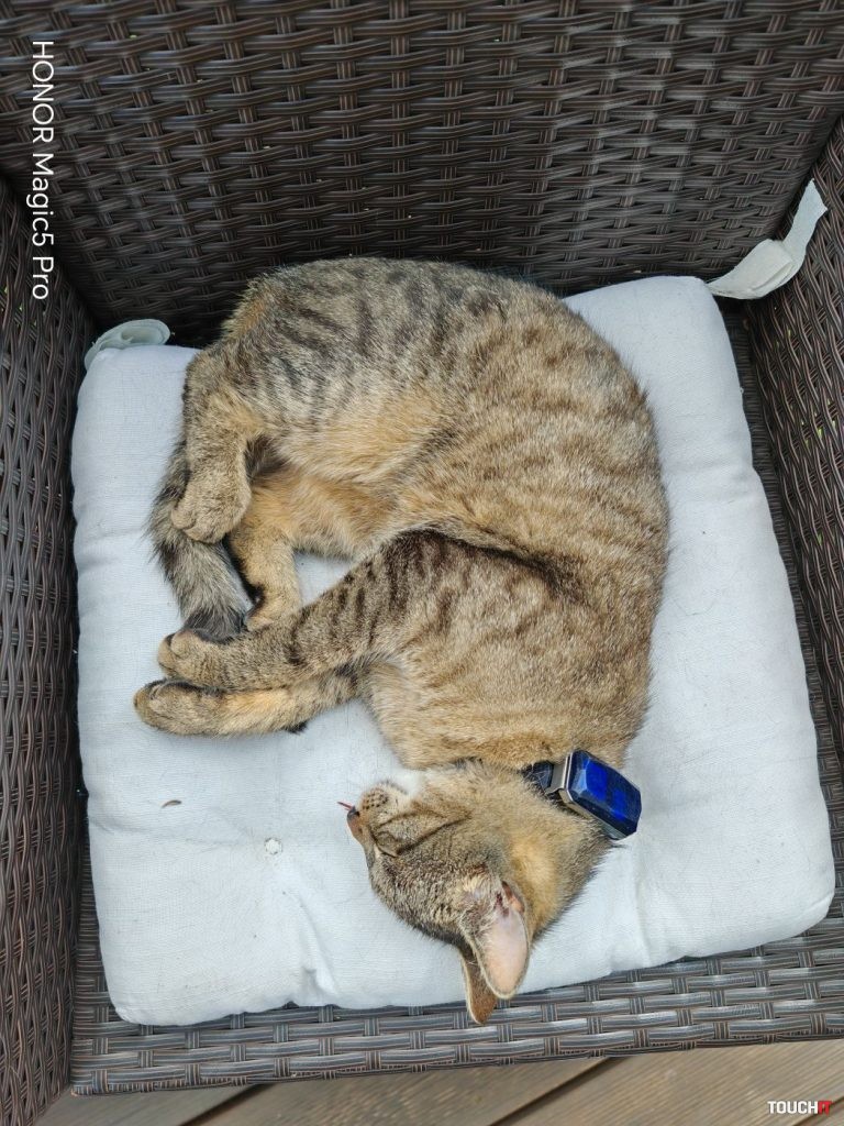 Honor Magic5 Pro vs Xiaomi 13 Pro