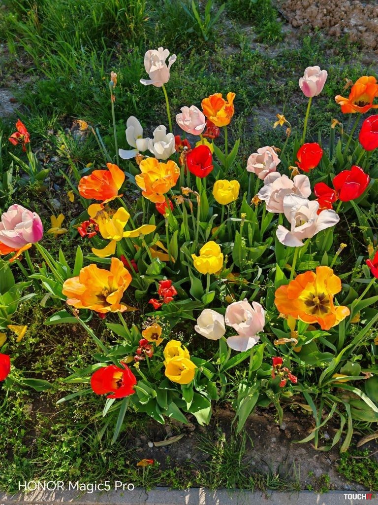 Honor Magic5 Pro vs Xiaomi 13 Pro