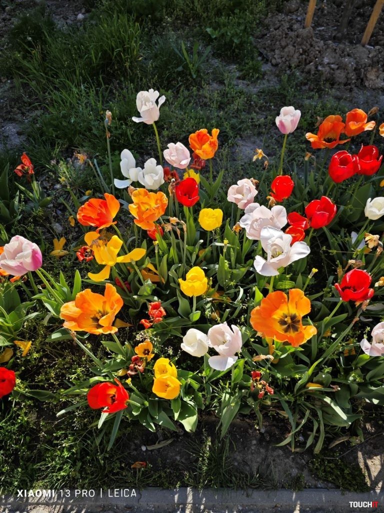 Honor Magic5 Pro vs Xiaomi 13 Pro