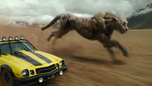 Transformers film rise