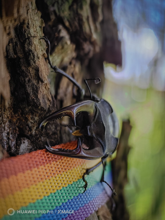 Výlet po Slovensku objektívom Huawei P60 Pro