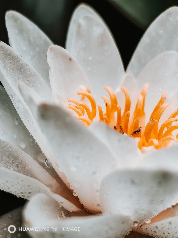 Výlet po Slovensku objektívom Huawei P60 Pro