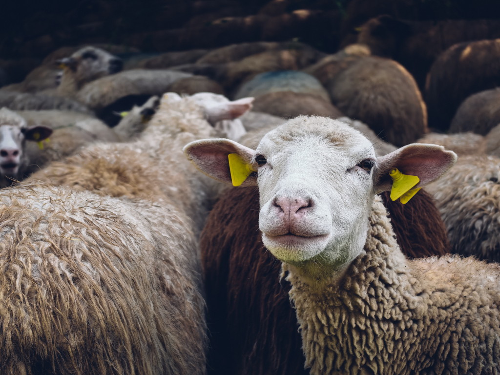 Výlet po Slovensku objektívom Huawei P60 Pro