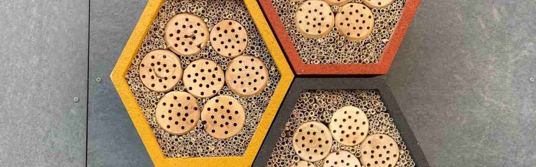 Hmyzí Grandhotel už aj v Lučenci: Spoločnosť Mobilonline prispieva k lepšiemu a zdravšiemu životnému prostrediu