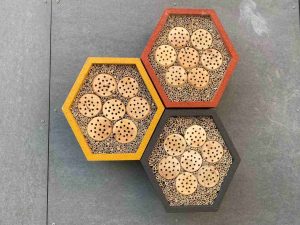 Hmyzí Grandhotel už aj v Lučenci: Spoločnosť Mobilonline prispieva k lepšiemu a zdravšiemu životnému prostrediu