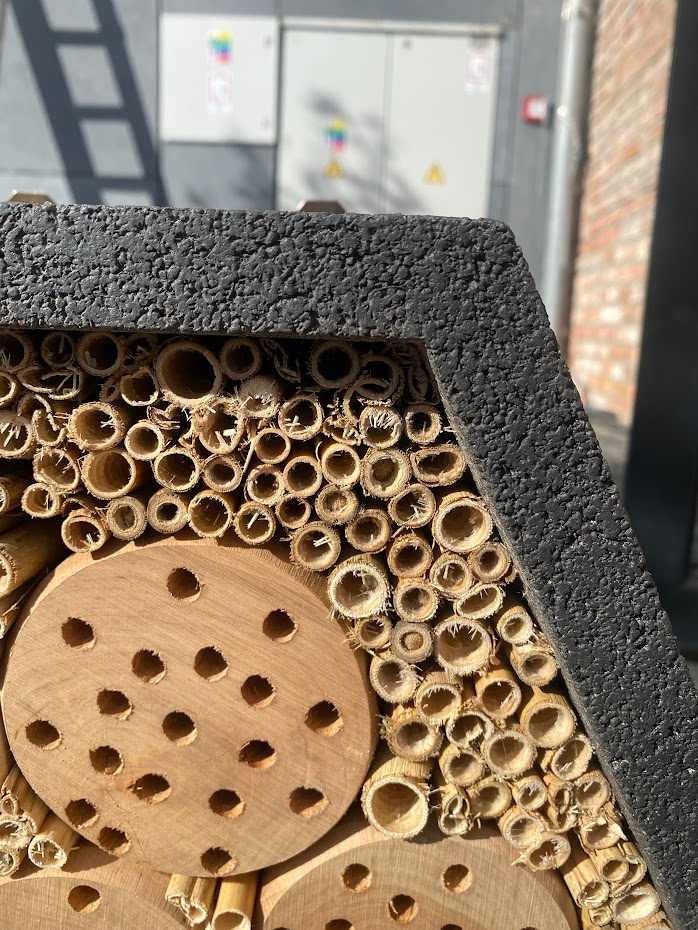 Hmyzí Grandhotel už aj v Lučenci: Spoločnosť Mobilonline prispieva k lepšiemu a zdravšiemu životnému prostrediu