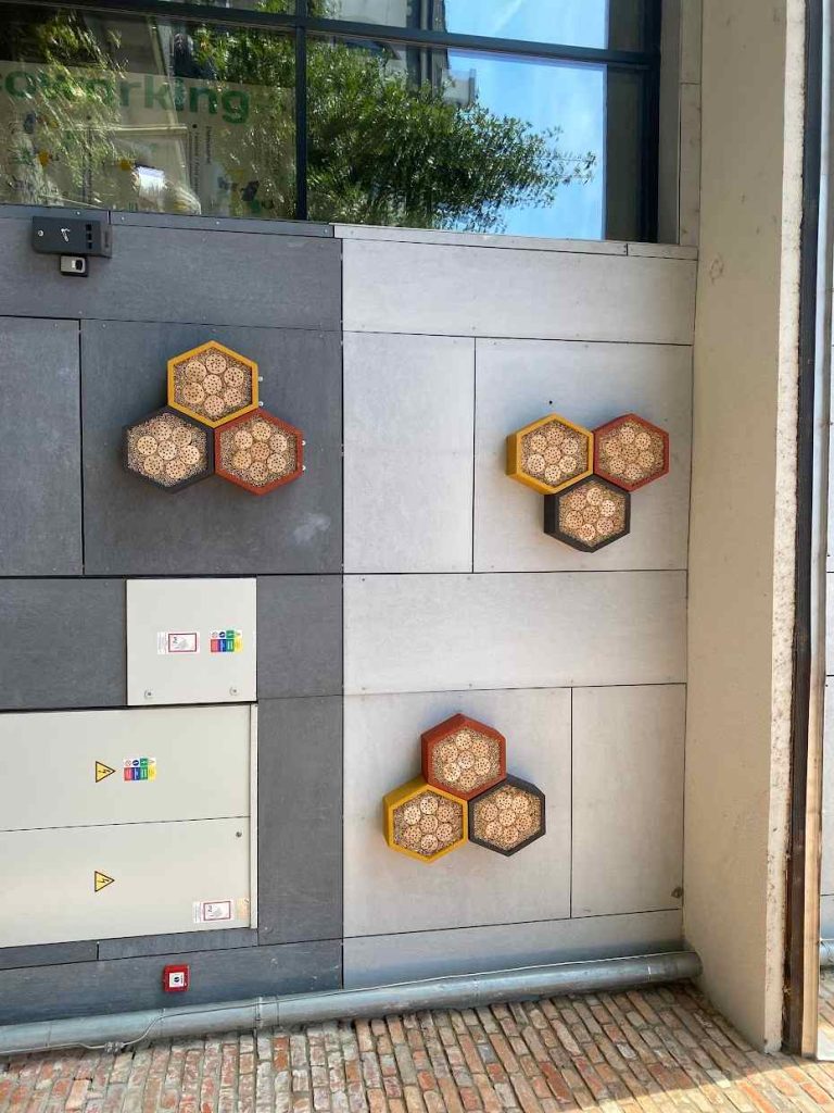 Hmyzí Grandhotel už aj v Lučenci: Spoločnosť Mobilonline prispieva k lepšiemu a zdravšiemu životnému prostrediu