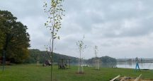 Spoločnosť Mobilonline oslávila Medzinárodný deň stromov naozaj originálne: Pri lučenskej priehrade vysadila nové platany
