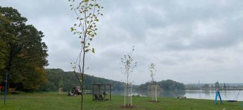 Spoločnosť Mobilonline oslávila Medzinárodný deň stromov naozaj originálne: Pri lučenskej priehrade vysadila nové platany