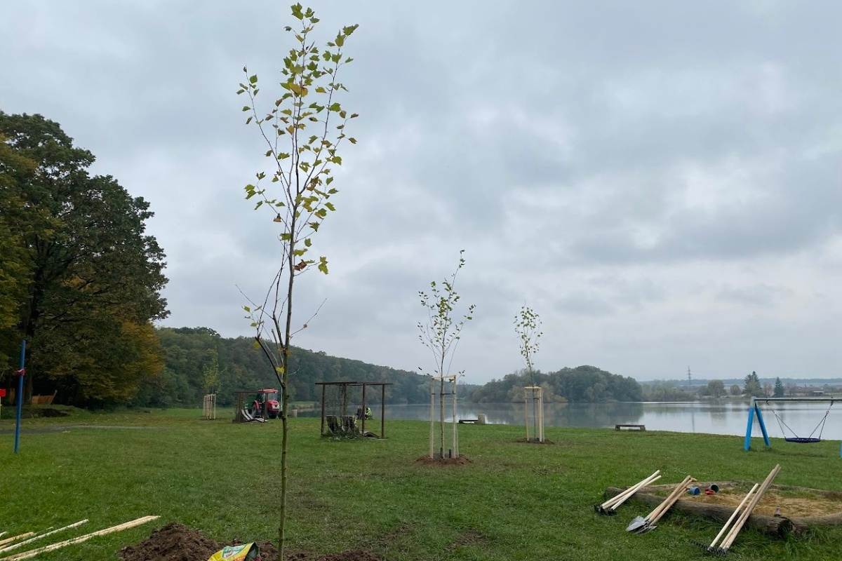 Spoločnosť Mobilonline oslávila Medzinárodný deň stromov naozaj originálne: Pri lučenskej priehrade vysadila nové platany