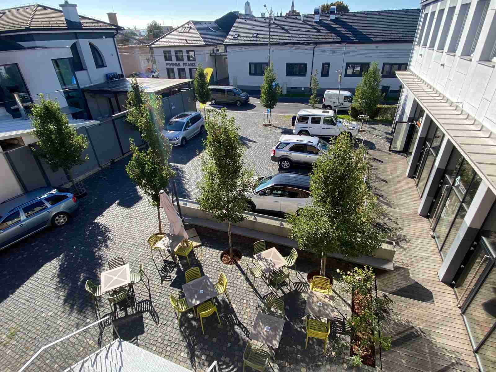 V Mobilonline spájame príjemné s užitočným: Utužili sme vzťahy a znovu sme pomohli prírode a okoliu