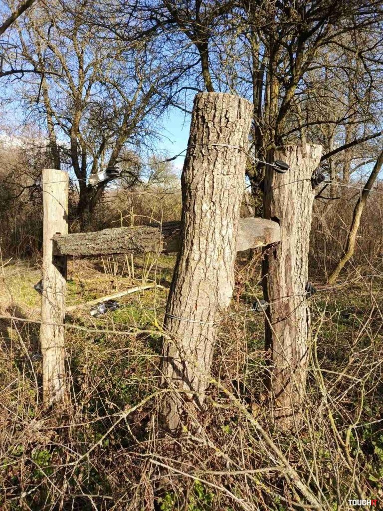 Infinix HOT 40 Pro: Fotografie vytvorené hlavným fotoaparátom