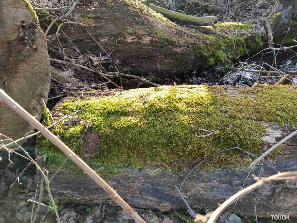 Infinix HOT 40 Pro: Fotografie vytvorené hlavným fotoaparátom