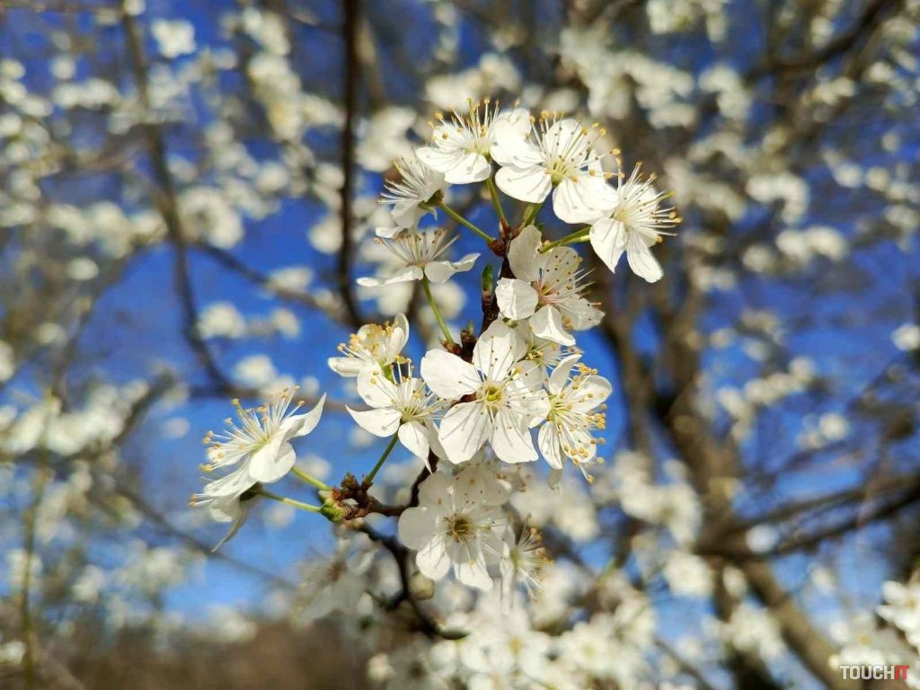 Infinix HOT 40 Pro: Fotografie vytvorené hlavným fotoaparátom