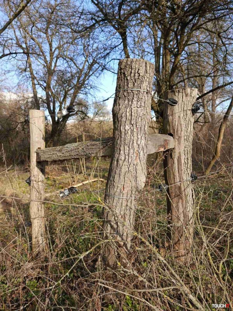 Infinix HOT 40 Pro: Fotografie nasnímané v 108 Mpx režime