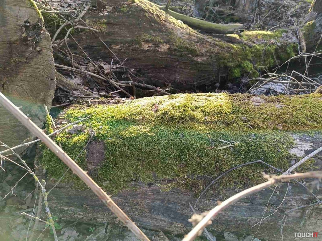 Infinix HOT 40 Pro: Fotografie nasnímané v 108 Mpx režime