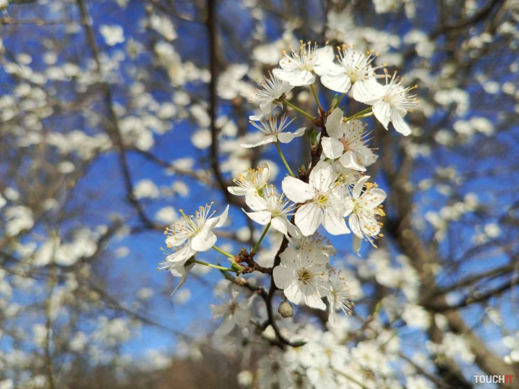 Infinix HOT 40 Pro: Fotografie nasnímané v 108 Mpx režime