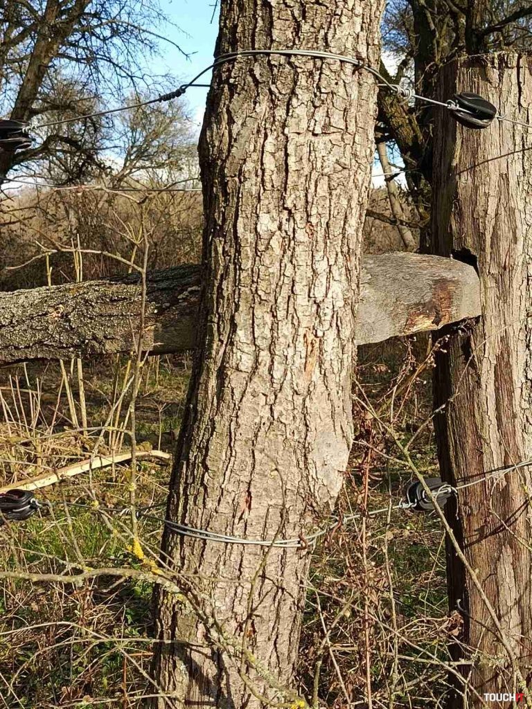 Infinix HOT 40 Pro: Fotografie vytvorené hlavným fotoaparátom (2× priblíženie)