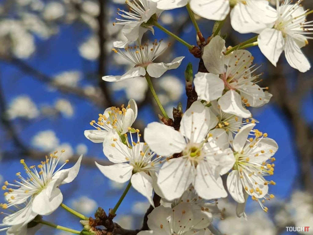 Infinix HOT 40 Pro: Fotografie vytvorené hlavným fotoaparátom (2× priblíženie)