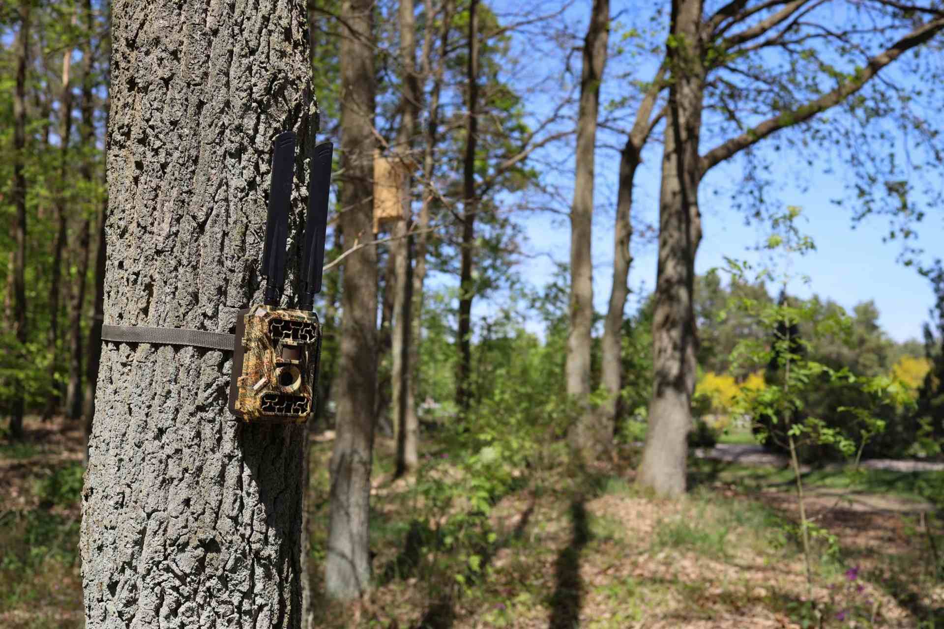 Fotopasca B3 GSM 4G s GPS lokáciou, ovládaním na diaľku a neviditeľným prísvitom