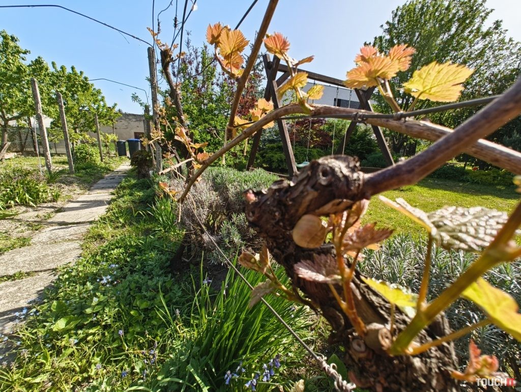 Nothing Phone (2a) - ukážkové fotografie