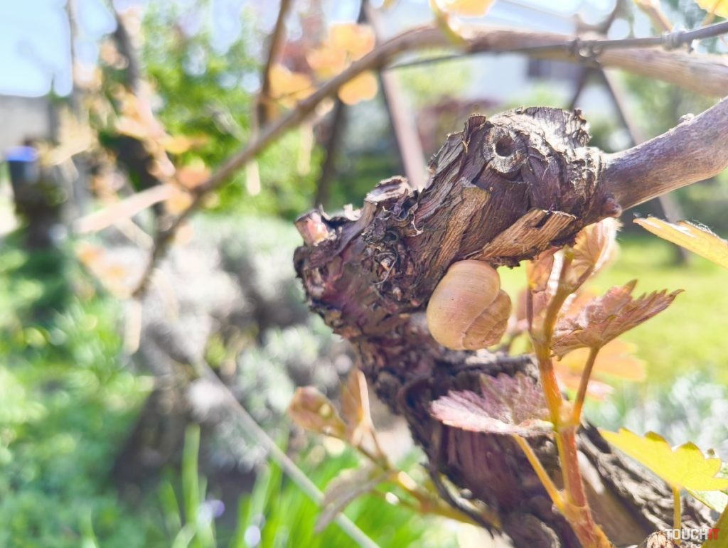 Nothing Phone (2a) - ukážkové fotografie