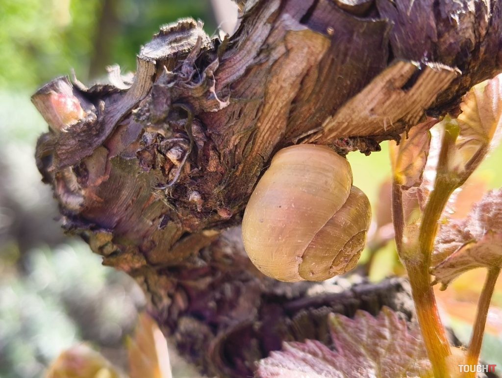 Nothing Phone (2a) - ukážkové fotografie