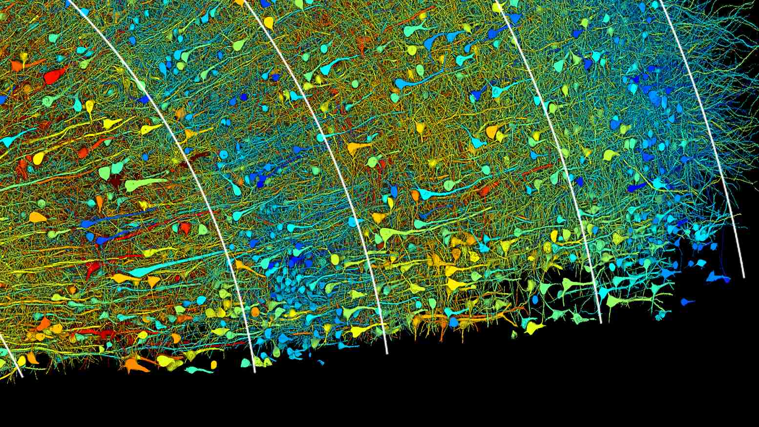 Koľko dát zaberie 1 mm ľudského mozgu?